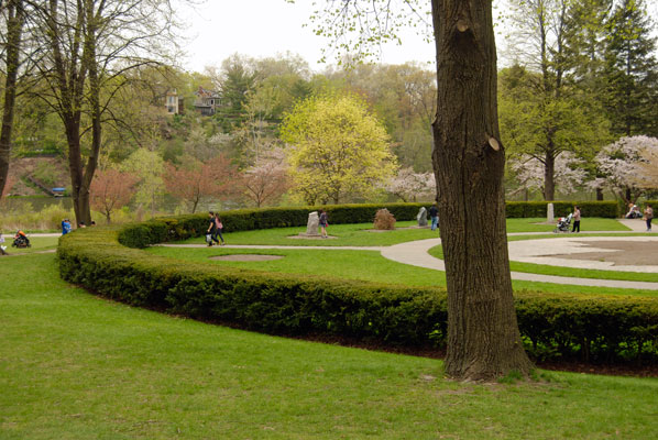 a maple leaf shaped garden within a circular hedge in High Park