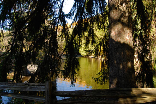 a view of the river seen through tree branches at Belfountain Conservation Area