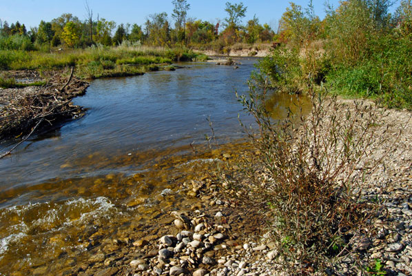 a view of the river