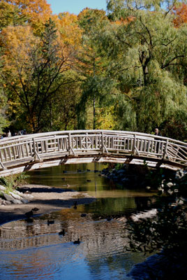 a wooden bridge over Wilket Creek in Edwards Gardens in Toronto