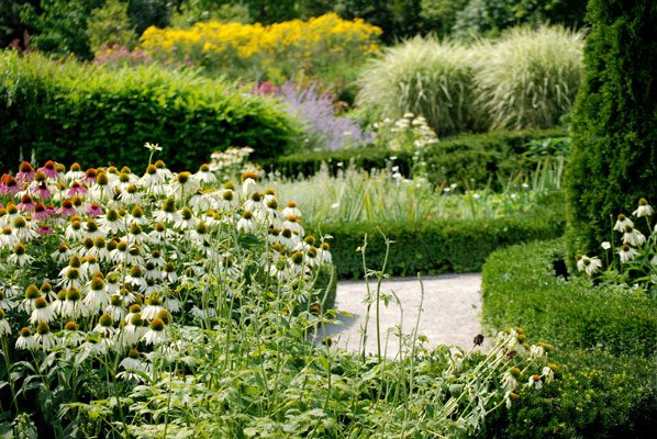 formal paths edged in box hedges run between lush flower beds in the Toronto Botanical Gardens