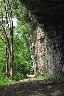 a path runs along under the cliffs in the Elora gorge