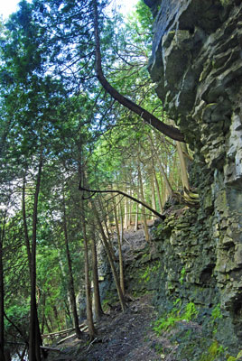 rock overhangs path