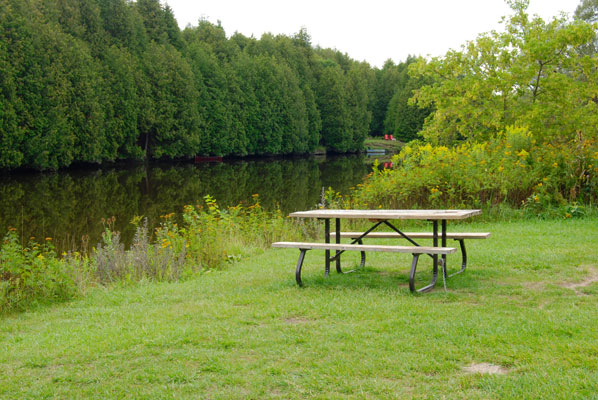 a picnic table near the riverbank at the Elora Quarry Conservation Area