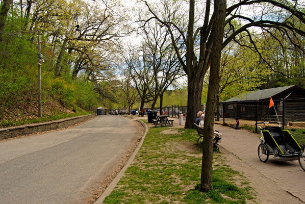 trees line the path through the zoo area of High Park