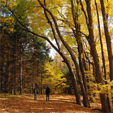 image of the Kortright Centre for Conservation