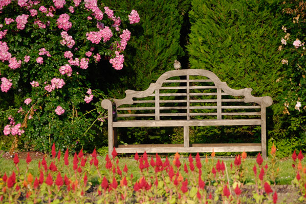 a bench at the side of the Rose Garden
