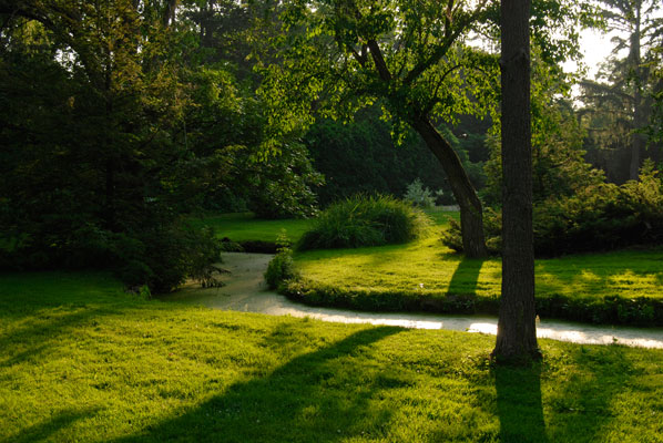 a stream curves between green banks where trees cast long shadows
