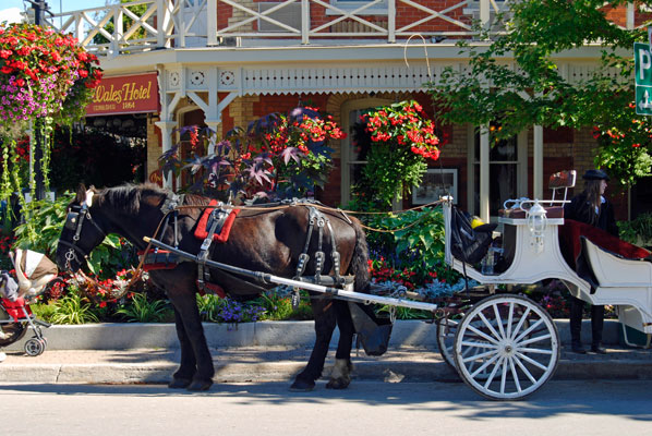 a horse and carriage outside the Prince of Wales Hotel