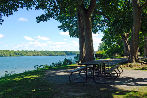 a picnic table shaded by trees has beautiful views of the river and the lake