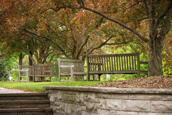 a row of benches sit shaded by trees along a path in Hendrie Park