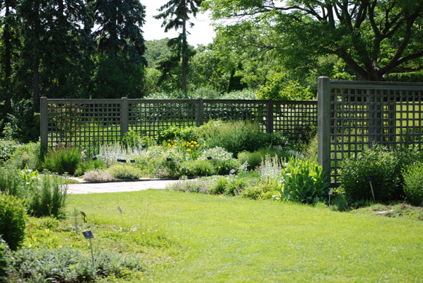 perennial beds with lattice deviders