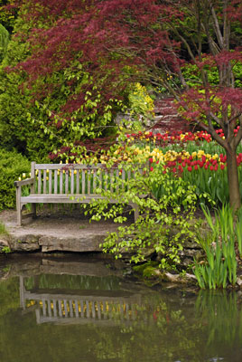a bench beside a pond in the rock garden