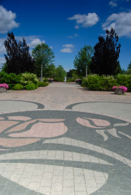 a rose pattern is featured in the paving at the centre of the rose garden