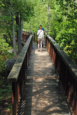 a boardwalk with railings goes over pools of water on the pothole trail