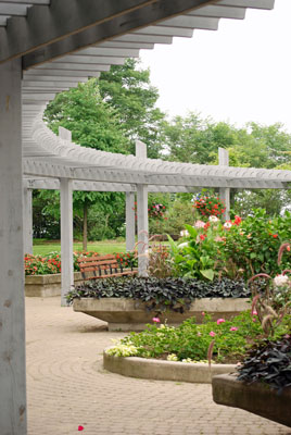 raised beds at the centre of the curved pergola