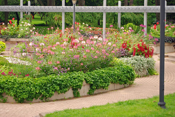 the raised annual beds at the centre of the pergola garden in Rosetta McClain Gardens