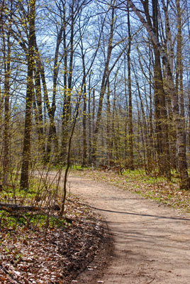 the trail curves up a hill in Terra Cotta Conservation Area