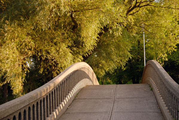 the curve of the bridge to Olympic Island backed by sunlight foliage