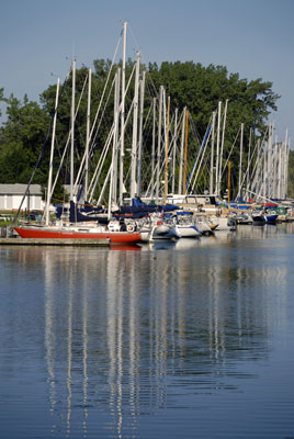 moored sailboats 