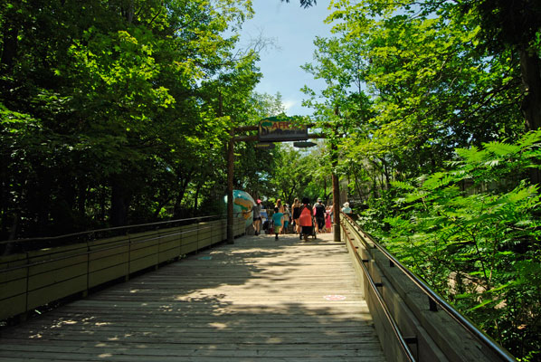 a boardwalk leads through the trees to the African zone at the Toronto Zoo